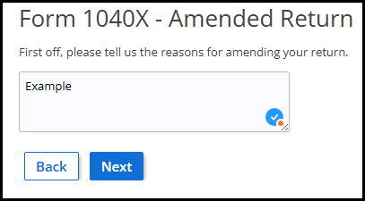 Reason for amending return